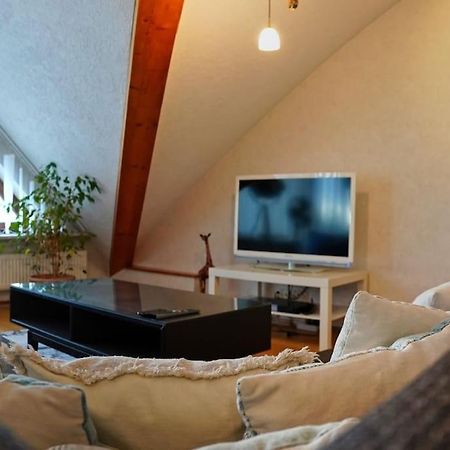 Grosse, Helle Wohnung Fuer Bis Zu 6 Personen Weinheim Exteriér fotografie